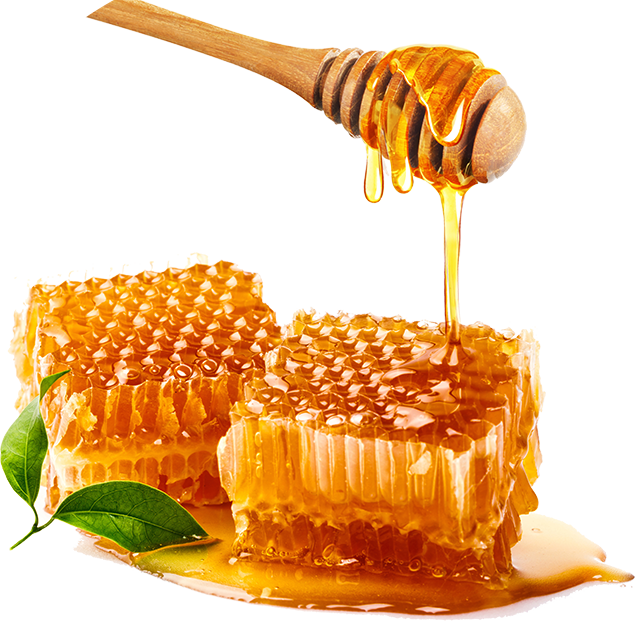 Nos abeilles